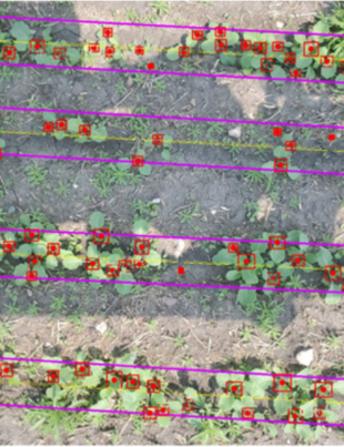 The-machine-learning-model-within-SWAT-CAM-analyzes-each-image-and-calculates-individual-plants-per-acre-or-per-square-foot as well as the average measurements of plant spacing. The tool is available for corn, soybean, canola, and potatoes. (Photo: Business Wire)