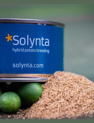 Bayer and Solynta collaborate to advance True Potato Seed in Smallholder Markets