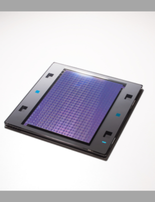 Image of photomask for beyond 2nm generation EUV lithography (Photo: Business Wire)