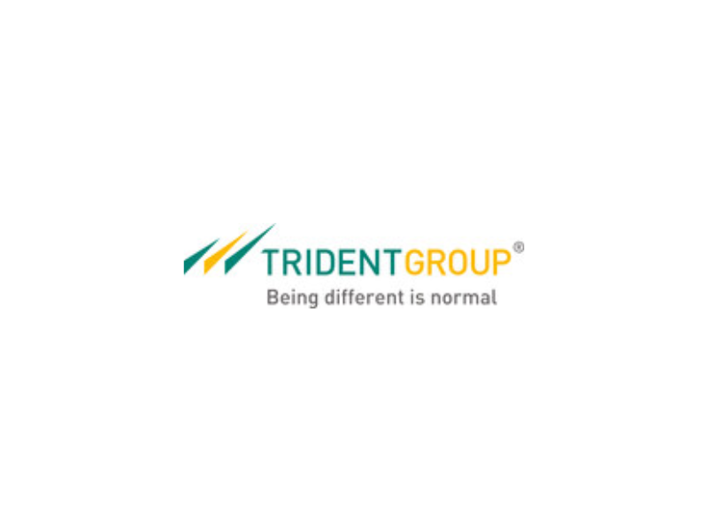 Trident Group (Image: PR Newswire)