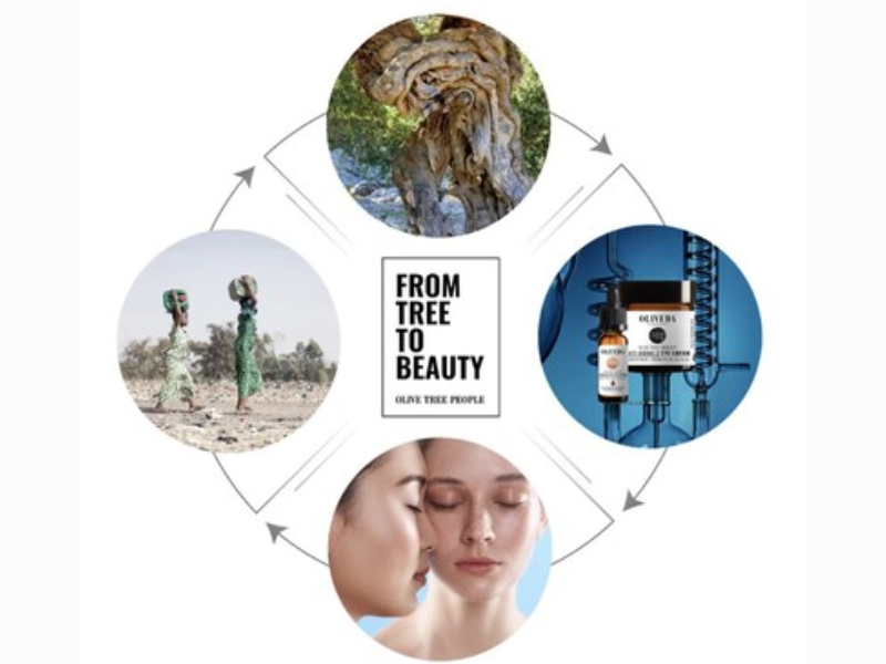 OLIVE TREE PEOPLE- The Cycle of From Tree to Beauty (Photo Courtesy: PRNewswire)