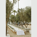 OLIVE TREE PEOPLE created an iconic Olive Grove on the Santa Monica beach to celebrate Waterless Beauty Consultants. Photo by: Elli Lauren Photo