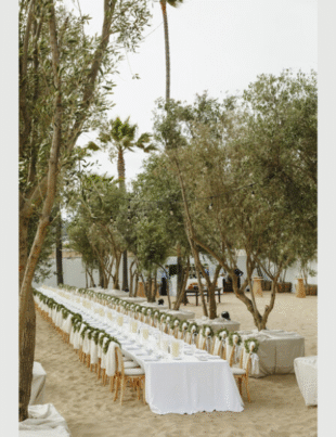 OLIVE TREE PEOPLE created an iconic Olive Grove on the Santa Monica beach to celebrate Waterless Beauty Consultants. Photo by: Elli Lauren Photo