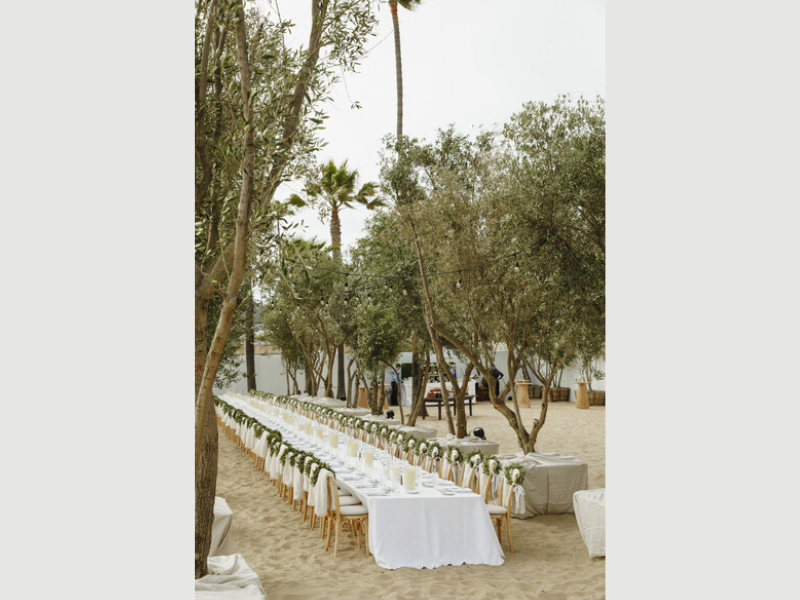 OLIVE TREE PEOPLE created an iconic Olive Grove on the Santa Monica beach to celebrate Waterless Beauty Consultants. Photo by: Elli Lauren Photo