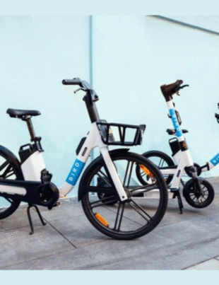 3 co-developed vehicles (Image Courtesy: PRNewswire)