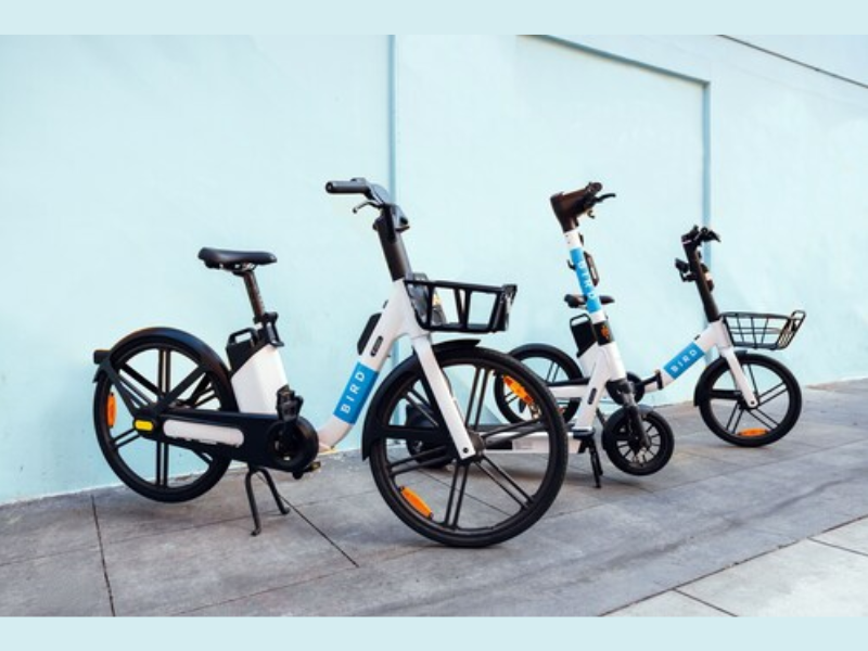 3 co-developed vehicles (Image Courtesy: PRNewswire)