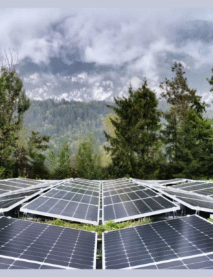 Sun Power Solution is for Homeowners (Image Courtesy: Sun Power Solution Official website)