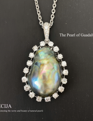 The Pearl of Guadalupe (Image Courtesy: PRNewswire)