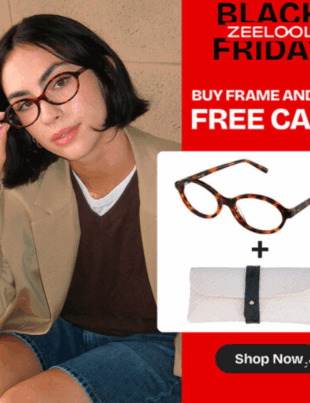 ZEELOOL Announces 2025 Black Friday and Cyber Monday Deals (Image Courtesy: PRNewswire)