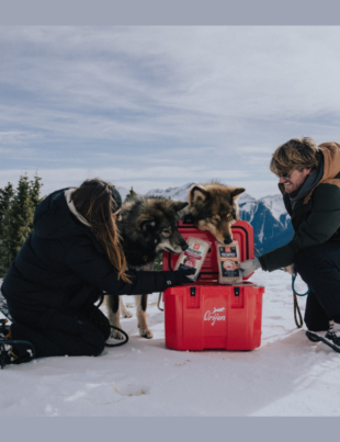 Influencer adventurers Wander with Willow and their four-legged companions (Image Courtesy: PRNewswire)