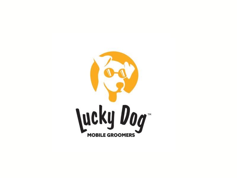 Lucky Dog (Image Credits: Lucky Dog official website)