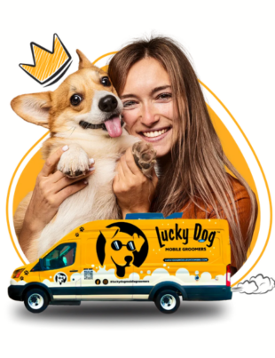 Mobile Groomers You Can Trust (Image Credits: Lucky Dog Mobile Groomers official website)