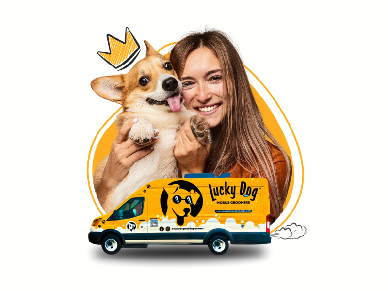 Mobile Groomers You Can Trust (Image Credits: Lucky Dog Mobile Groomers official website)