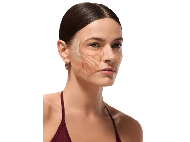 Lumenis Unveils triLIFT 2.0: Trilift Address signs of aging muscle (Image Courtesy Trilife official website)