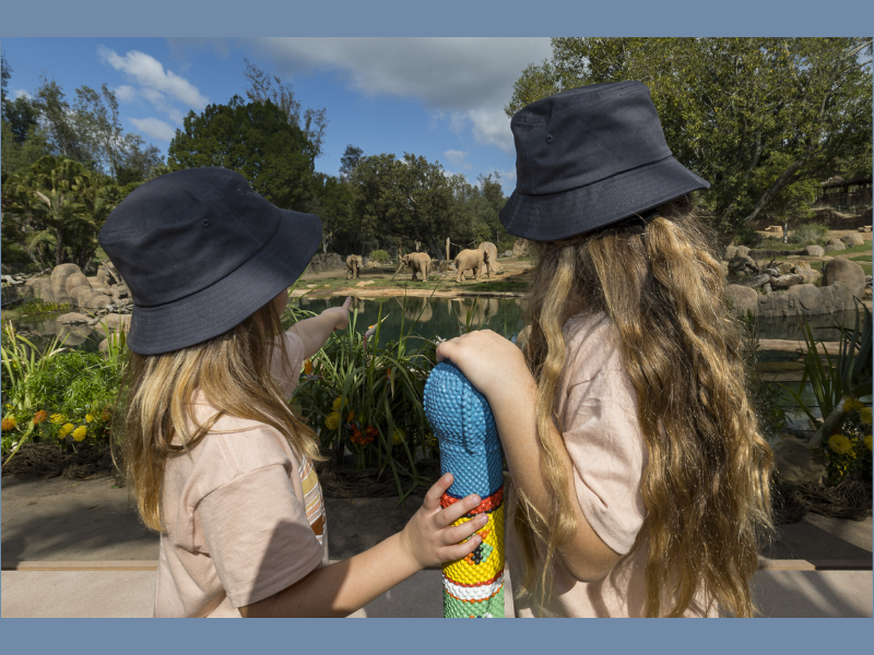 Young guests enjoy Elephant Valley at the San Diego Safari Park Credit San Diego Safari Park (Image Courtesy: PRNewswire)