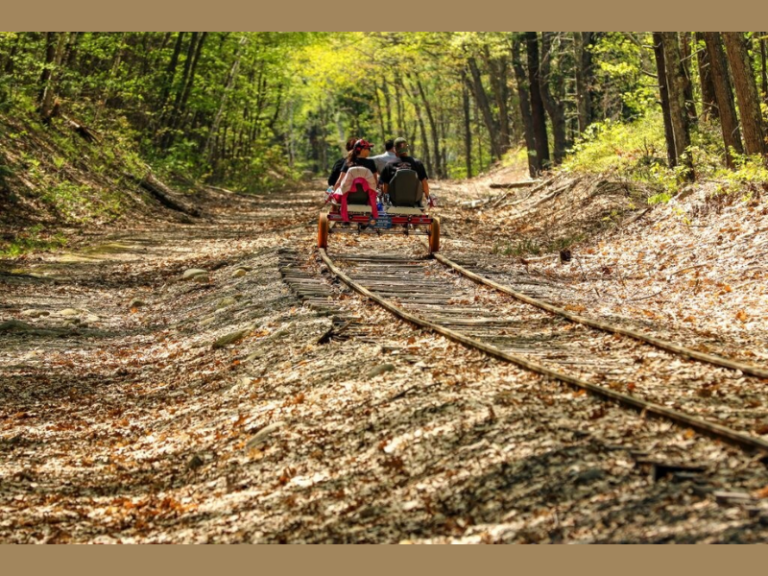 Woodsy Rail Bike Adventure (Image Credit: PRNewswire)