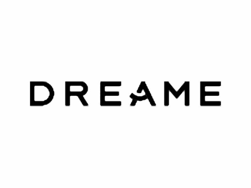 Image: Dreame Official website
