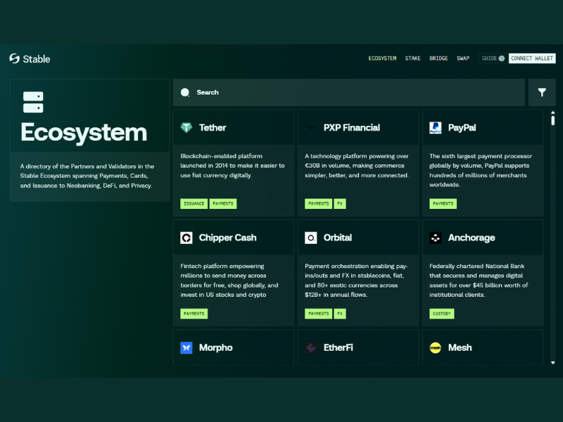Stable Joins Mesh Alliance Program to Advance USDT-Native Payments (Image Credit: Stable official website)
