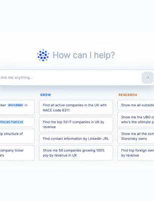 Global Database Launches Regis, an AI Assistant for Live Company Registry Data (Image Credit: Businesswire)