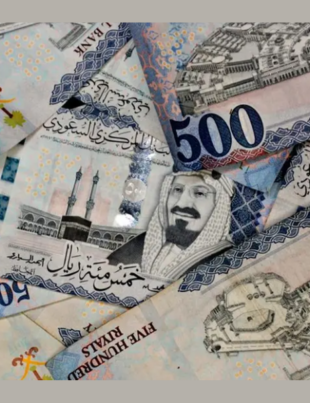 PIF-backed Sanabil invests in GCC-based AI startup (Image Credit: Zawya)