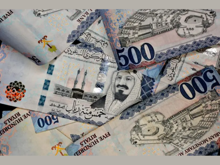 PIF-backed Sanabil invests in GCC-based AI startup (Image Credit: Zawya)