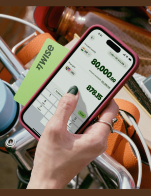 Wise connects directly to PayNet, Malaysiaʼs national payments network (Image Credit: Wise official website)