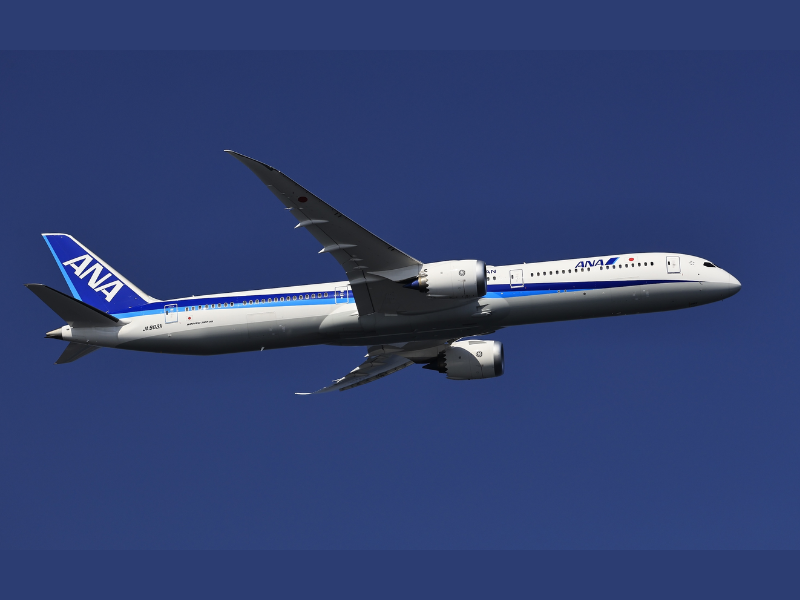 ANA's Aircraft image (Image Courtesy: PRNewswire)