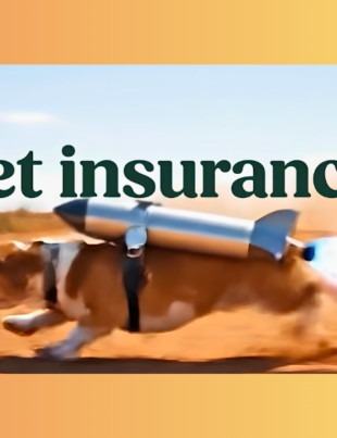 DogPack and Healthy Paws Partner to Bring Pet Insurance into the DogPack Platform (Image Credit: Healthypaws LinkedIn Page)