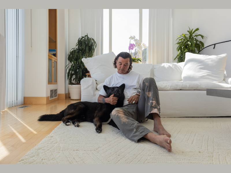 Gavin Rossdale joins the ASPCA's Rescue Effect campaign to help more animals find loving homes (Image Courtesy: PRNewswire)