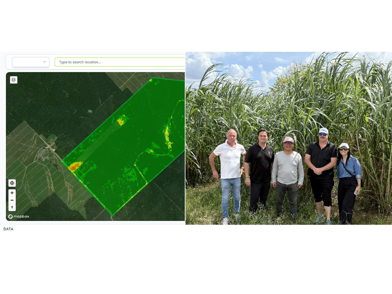 Phi Earth and LatConnect 60 Partner to Connect Space and Soil