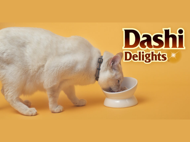 Umami Unleashed. Dashi Delights by INABA is a new unique (Image Courtesy: Inaba Foods)