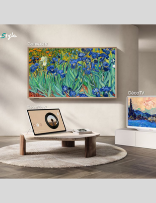 Hisense Introduces RoamView, A Screen That Moves with the Way You Live (Image Courtesy: PRNewswire)