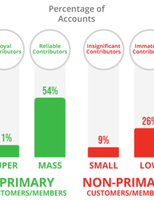 Typical Retail Checking Relationship Performance Metrics (Image Courtesy: StrategyCorps Official website)