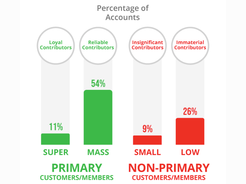 Typical Retail Checking Relationship Performance Metrics (Image Courtesy: StrategyCorps Official website)