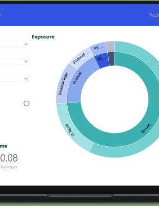 Nuix Neo for Data Privacy (Image Courtesy: Linkurious Official website)