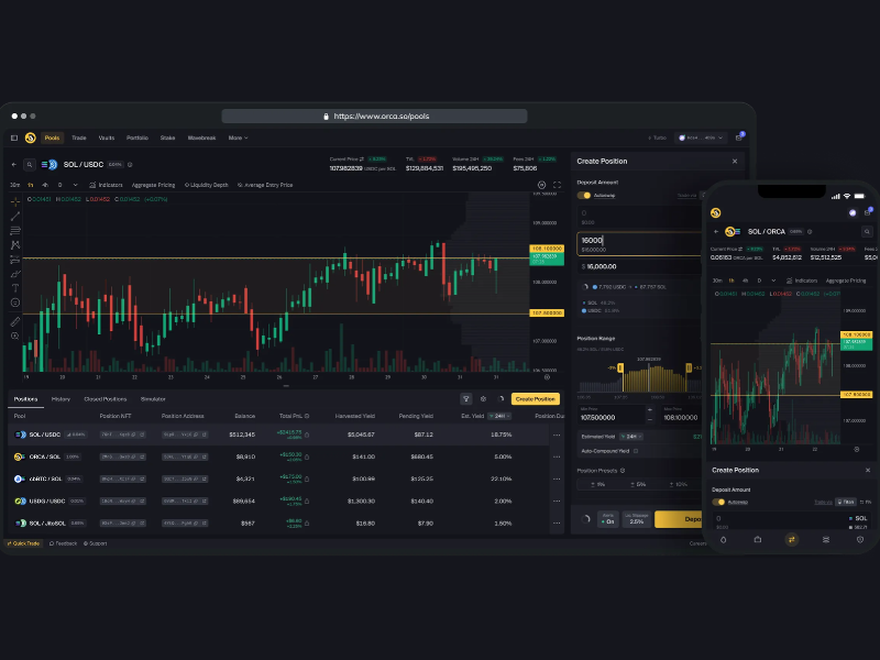 Put Your Capital To Work On-chain (Image Courtesy: ORCA Official website)